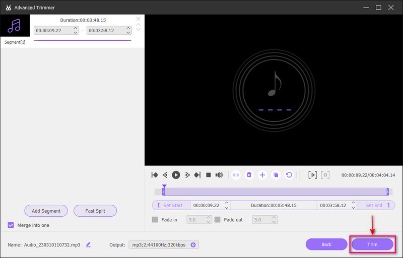 Stop Audio Recording