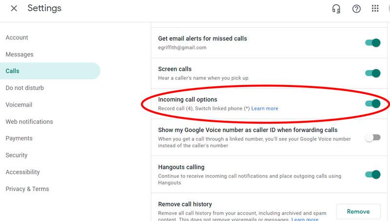 Turn on Incoming Call Options google Voice