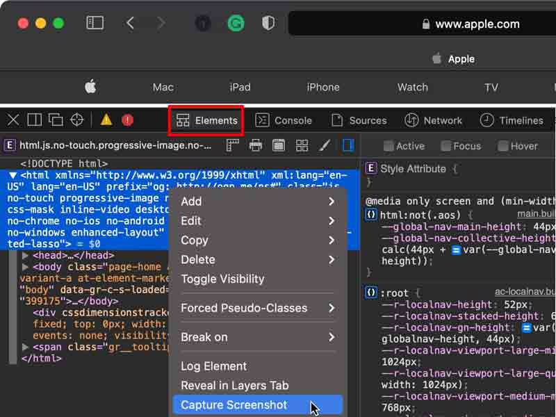 Develop Capture Screenshot