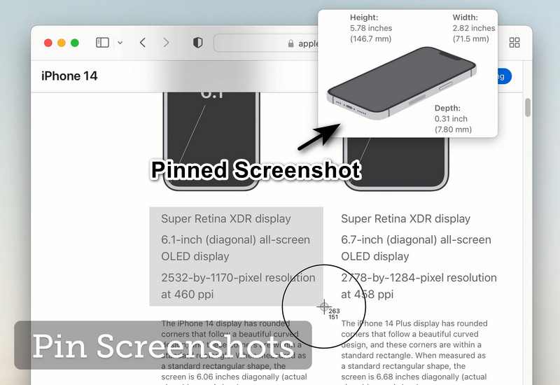 Pin Screenshots
