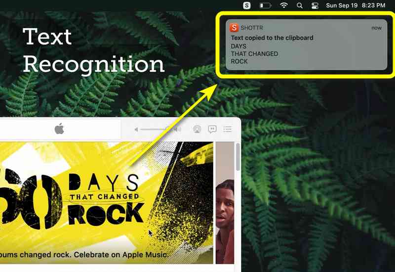 Text Recognition