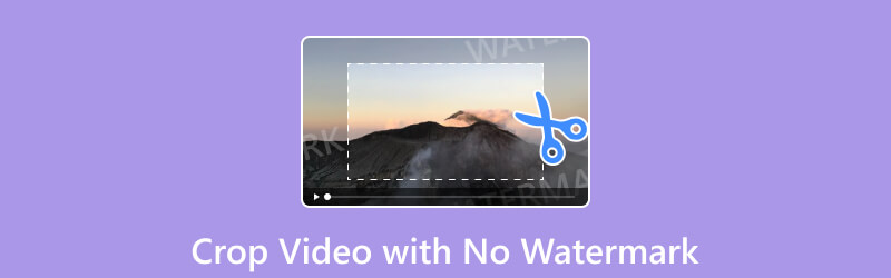 Crop Video with No Watermark