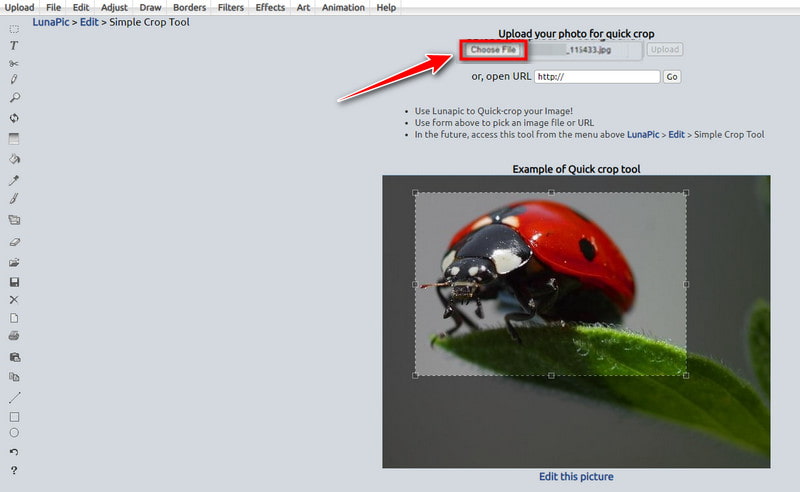 Add Photo to Lunapic Crop Tool