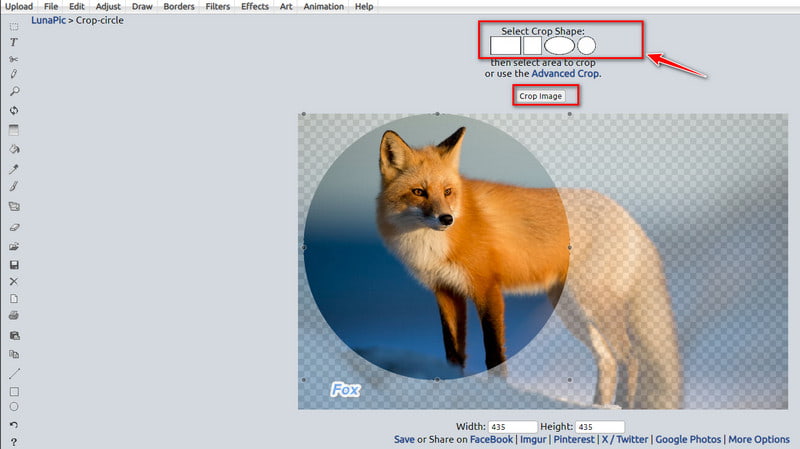 Crop Image in Lunapic