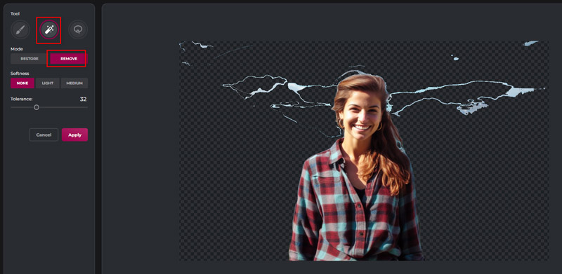 Fine Tune Background Removal in PIXLR