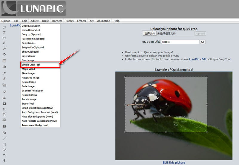 Select Crop Tool in Lunapic