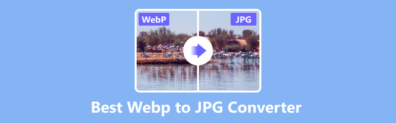 Best WebP to JPG Converter