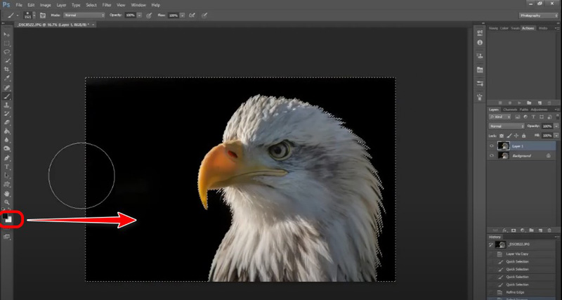 Fill in Black Color in Photoshop
