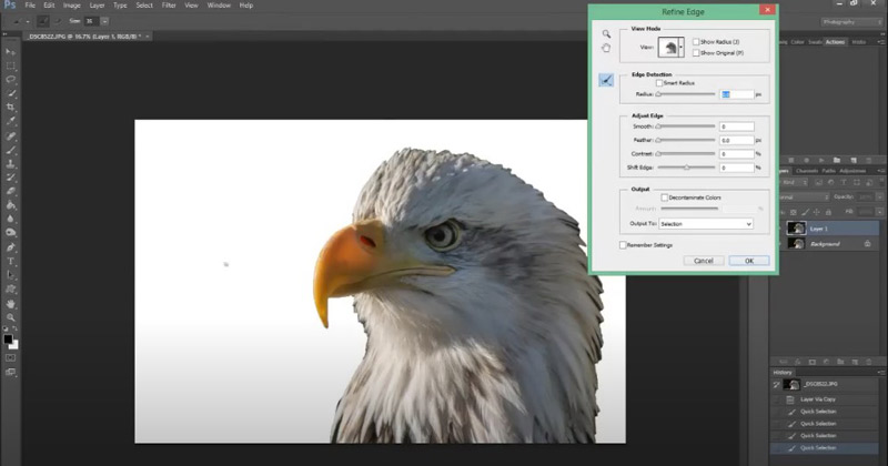 Refine Selection in Photoshop