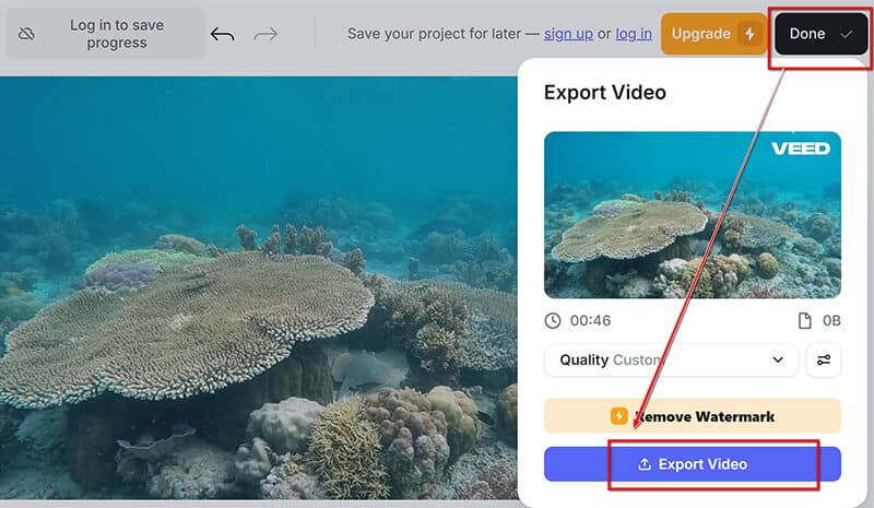 Veed Export Video