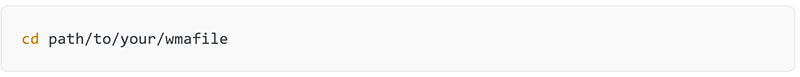 FFmpeg Wma File