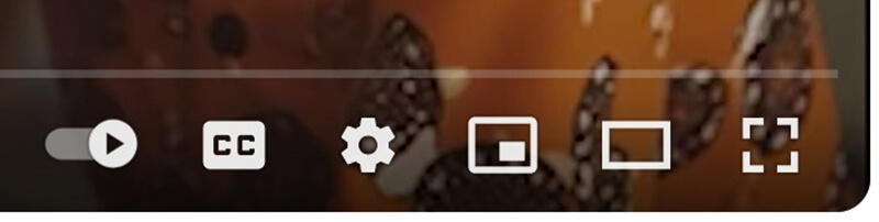 Check Youtube Cc Button