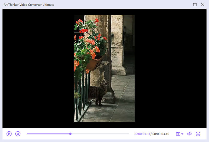 Enhance Blurry Video