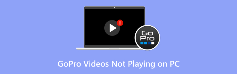 Gopro Videos Not Playing on PC