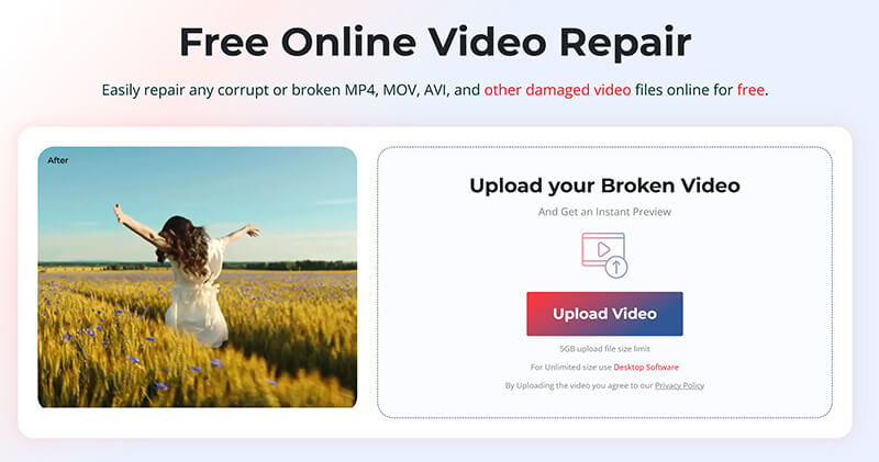 Upload M2ts Video Stellar