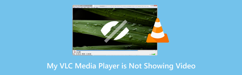 My Media Player Is Not Showing Video