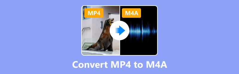 Convert Mp4 To M4a