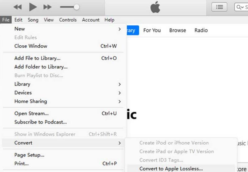 File Convert