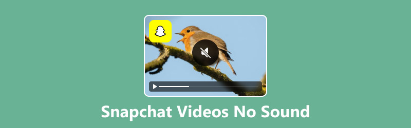 Snapchat Videos No Sound​