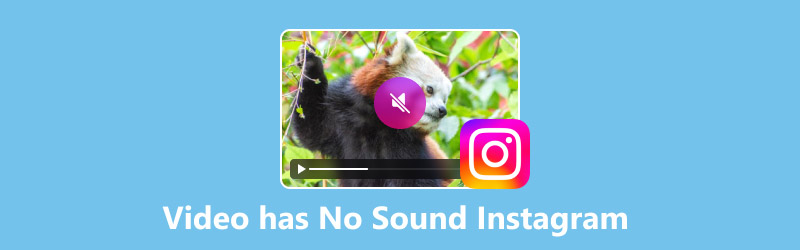 Video Has No Sound Instagram​