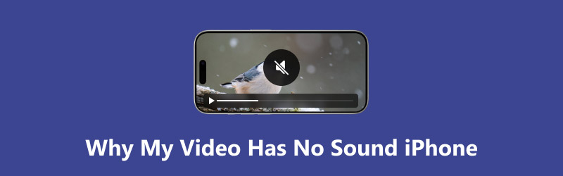 Why My Video Has No Sound Iphone​